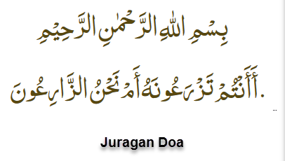 Mimpi Menanam Dan Menebar Benih? Inilah 8 Arti Dan Maknanya - Kabarindah.com