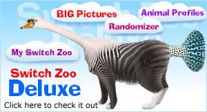 Switch Zoo (Website)