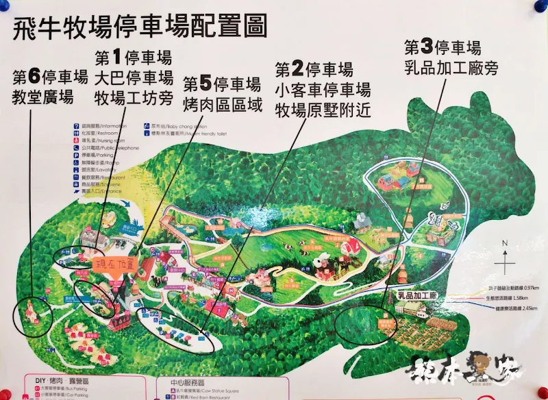苗栗飛牛牧場親子住宿|牧場原墅家庭房|森林芬多精相伴的童趣屋
