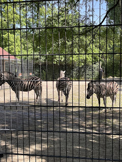 Diergaarde Blijdorp zoo