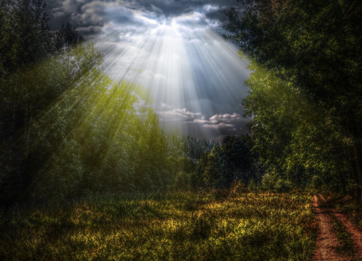 в луче света. солнечные блики. свечение солнца. как сделать лучи солнца. солнечный лучик.