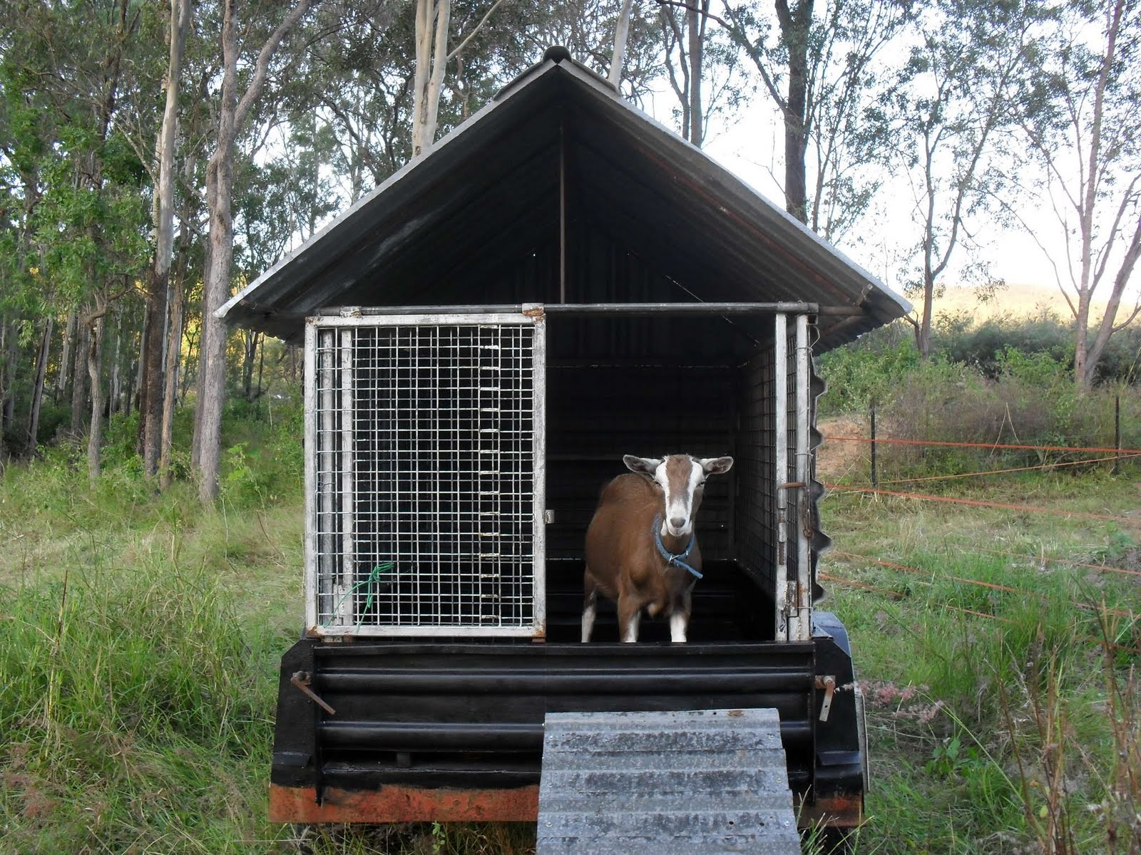 Living simply Farm Project part 2