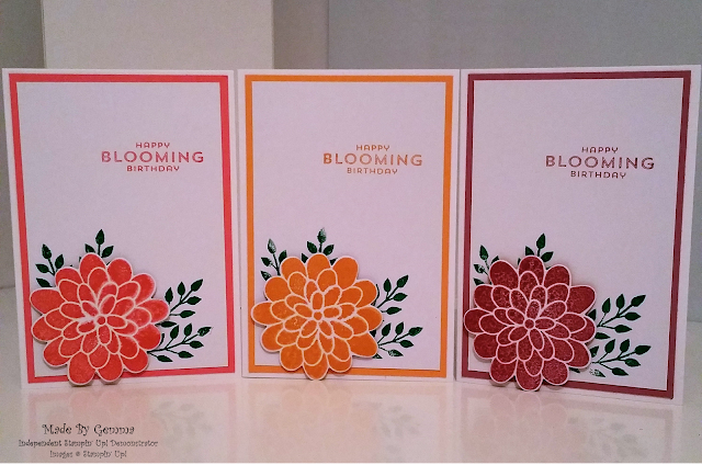 Flower Patch In Colours cards