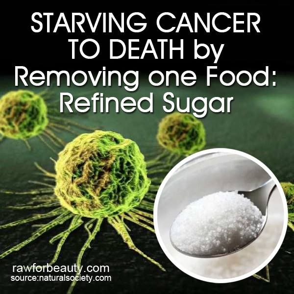 Ankh Rah's Healthy Living Guide Beating Cancer How Cutting Sugar