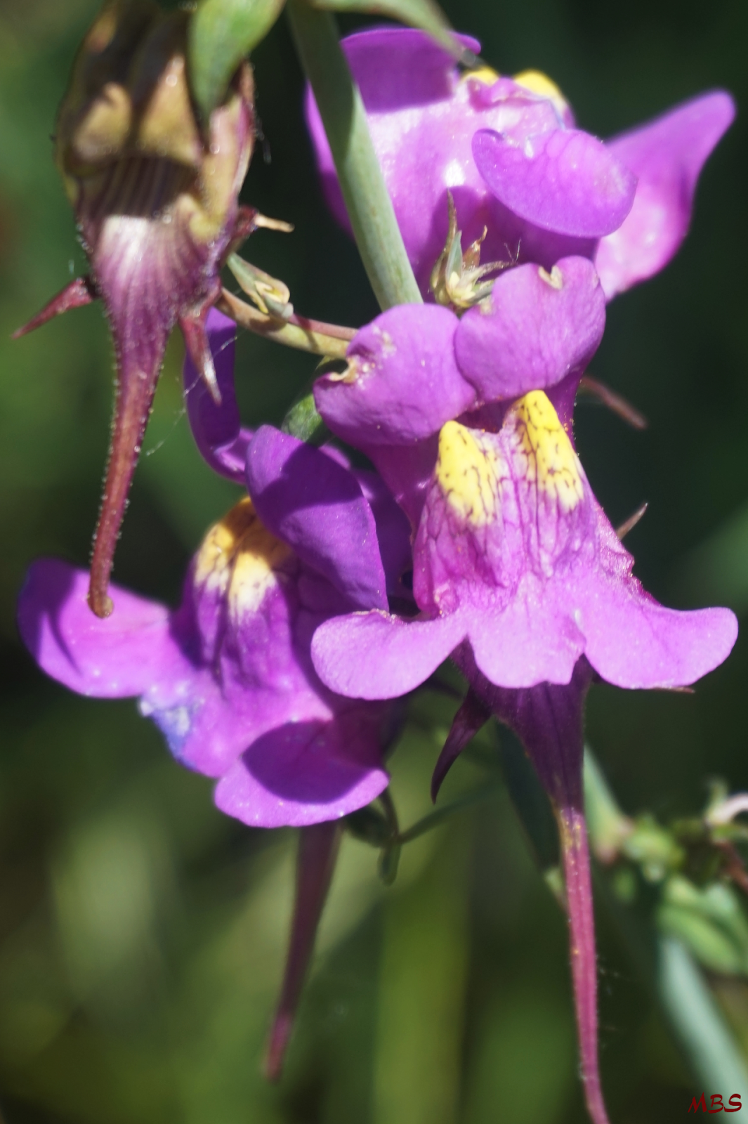 El Bierzo patrimonio natural y cultural Los colores del valle del Oza
