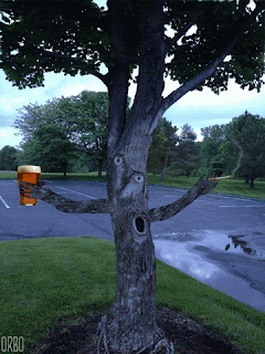 A grey tree with a cartoon face dancing while holding a beer and a cigarette.