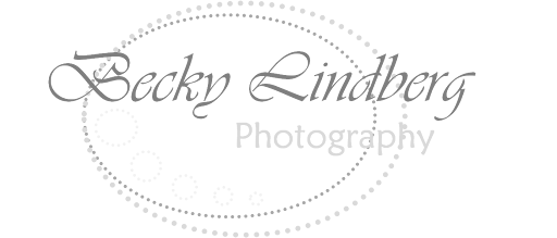 Becky Lindberg Photography