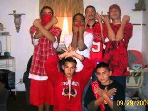 About Gangs and Fraternities: The Northern Structure, Nortenos