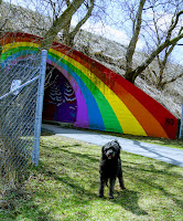Lucy with the rainbow tunnel in Moccasin Park next to Charles Sauriol Conservation Area
