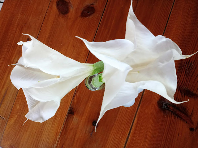 Arte floral con flores en forma de trompeta blancas