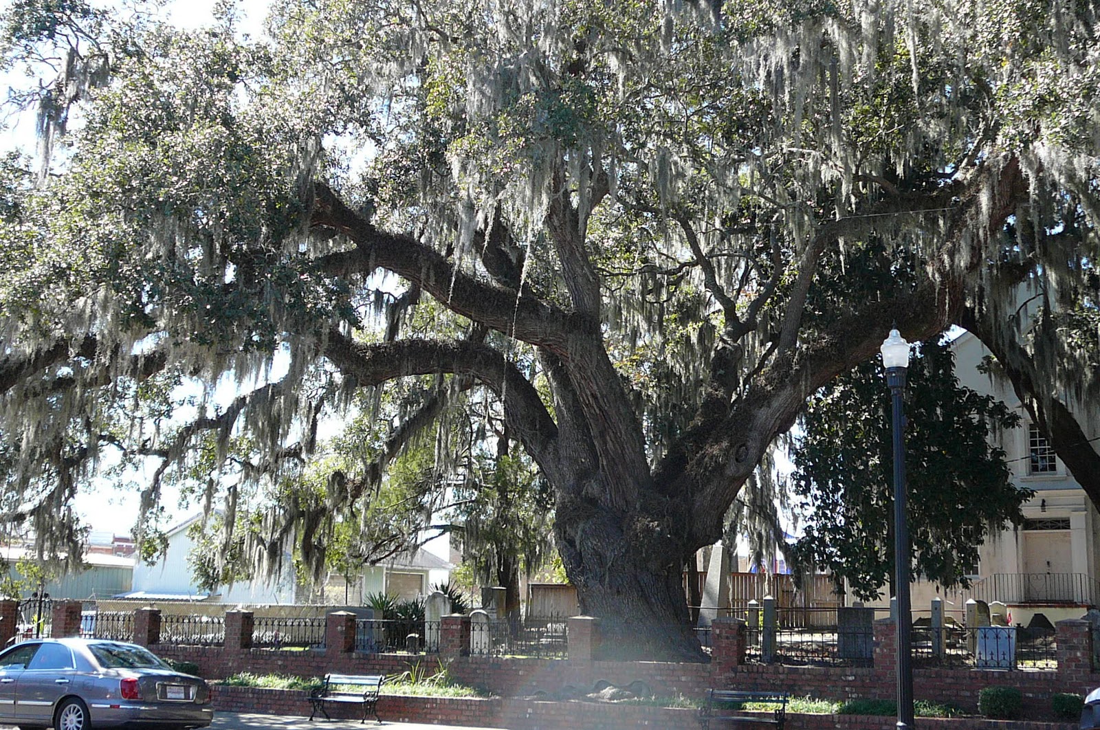 Exploring the High road Conway, South Carolina, my Mom's hometown