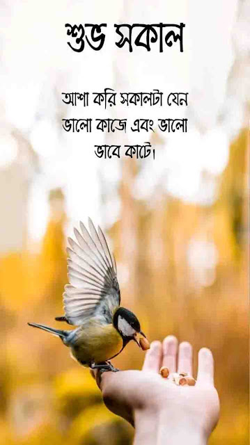 সুপ্রভাত শুভেচ্ছা ছবি