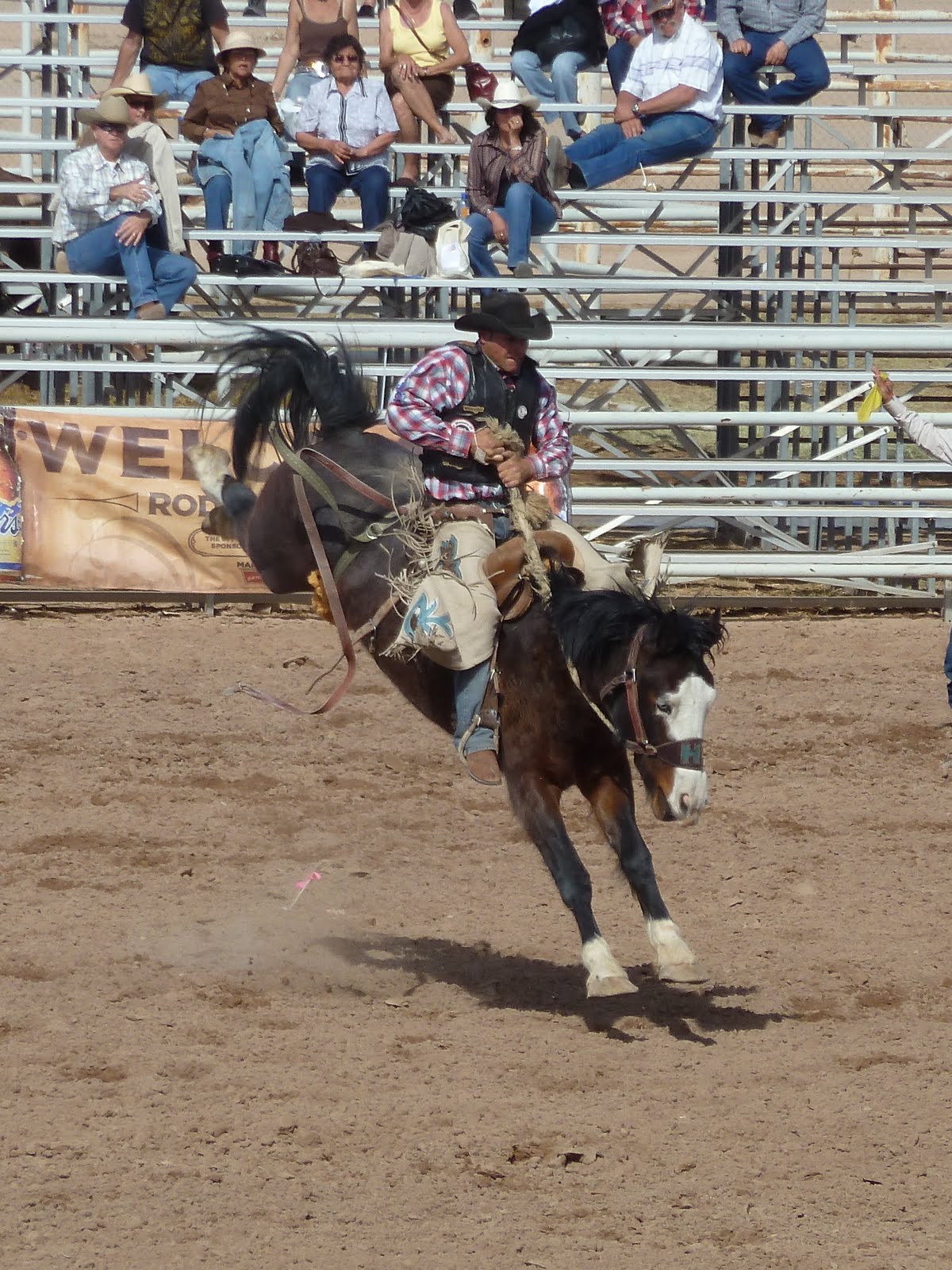 The Evans Family Yuma Silver Spur Rodeo