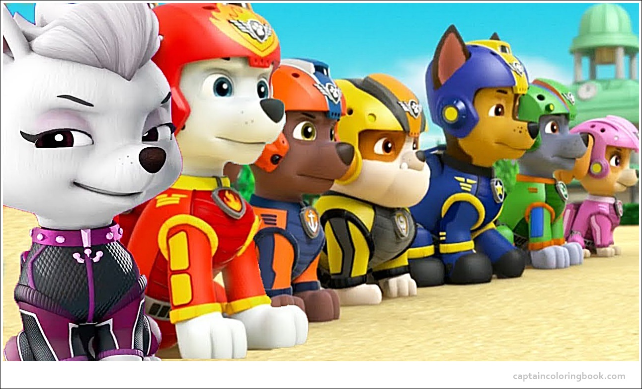 ultimate rescue paw patrol skye
