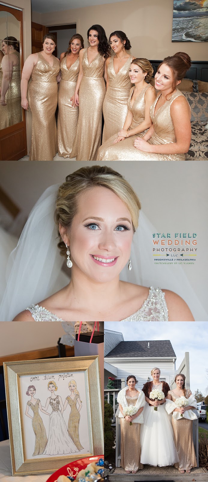 Liz Warnek Photography Phoenixville Wedding Photographer Brittany and Brad's New Years