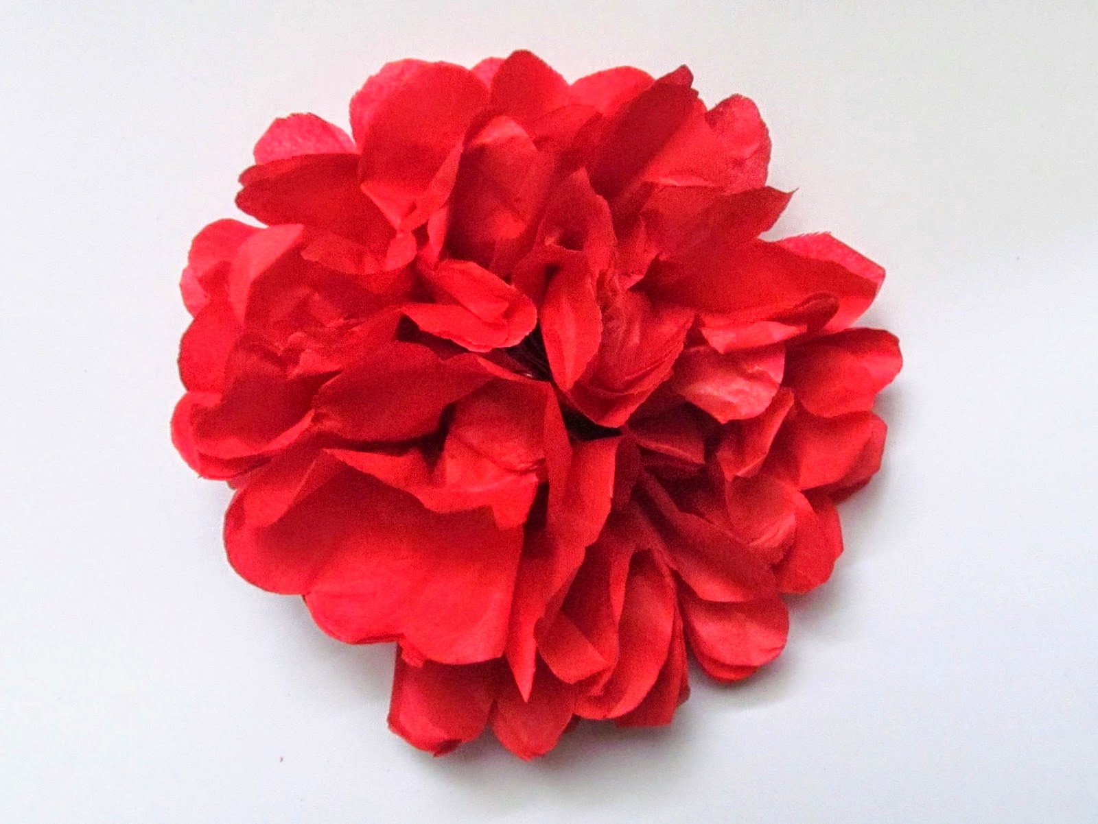 http://pinkflamingohandcrafting.blogspot.co.uk/2014/04/how-to-make-tissue-paper-flowers.html