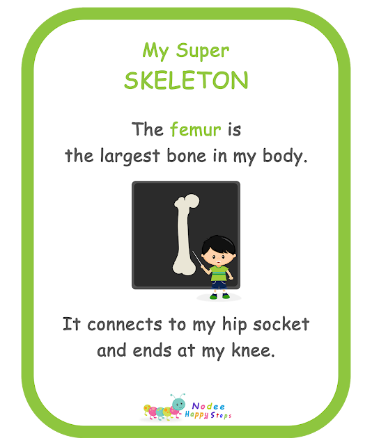 My Body For kids - My Super Skeleton