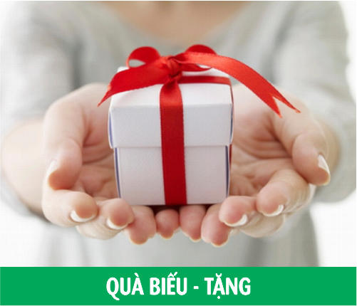 QUÀ TẶNG BIẾU