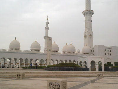 Shaikh Zayed Bin Sultan Al Nahyan Mosque picture taken from steps