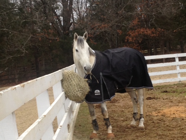 Hunter Barbie Takes on Eventing: Christmas Barn and Update
