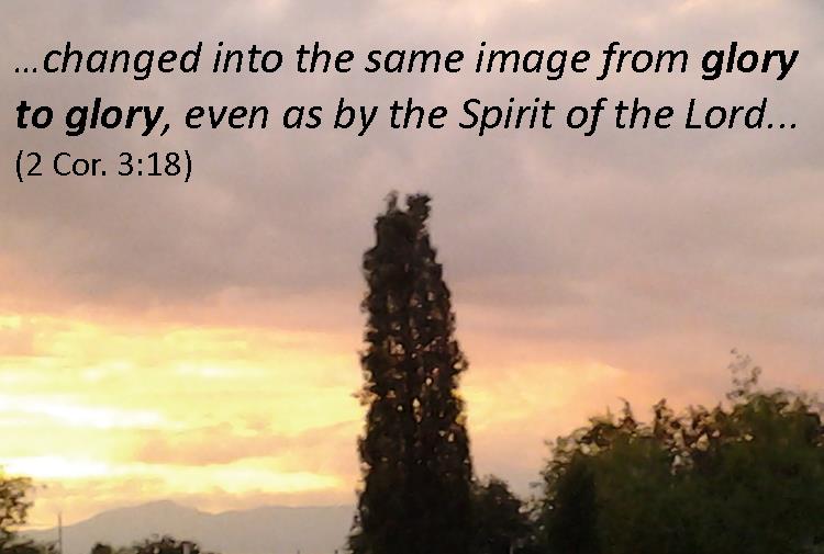 Footprints From the Bible Cynthia Davis Author ChangedFrom Glory