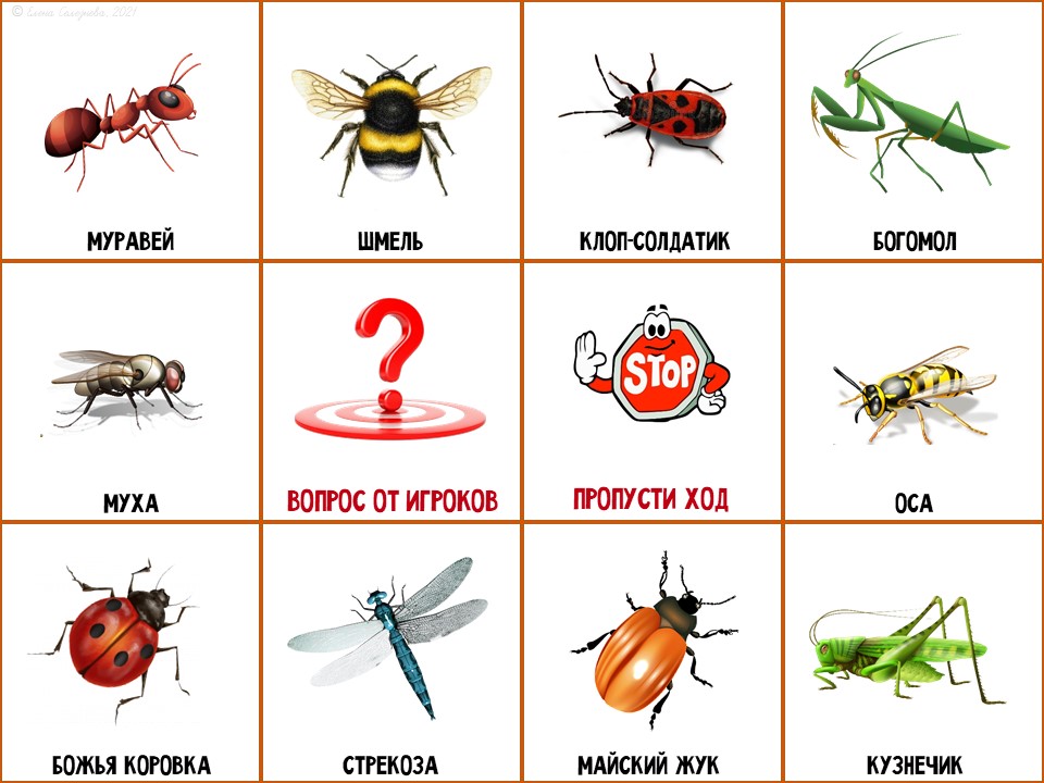 интерактивный тренажер. мир 1 класс игра. экология для детей дошкольного возраста. с днем защиты детей. игры по окружающему миру.