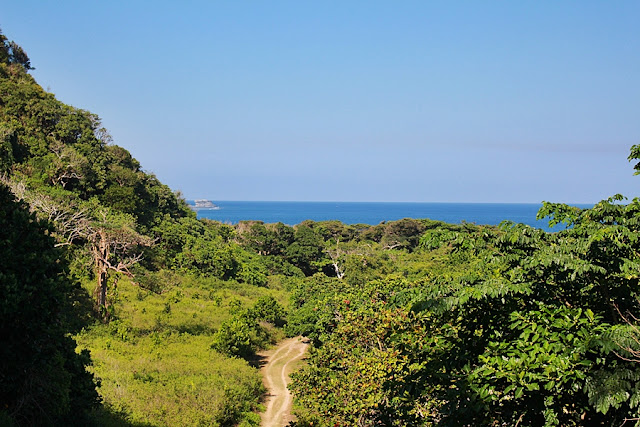 The lush forest of Calayan Island