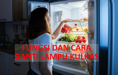 Fungsi dan cara ganti lampu kulkas