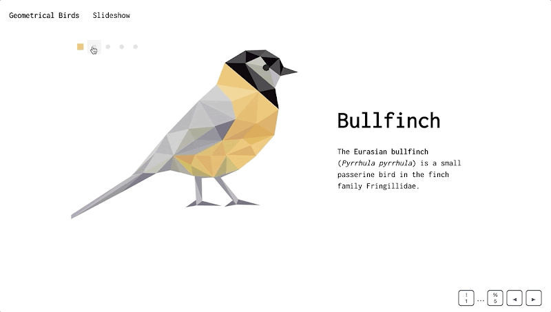 Geometrical Birds - slideshow