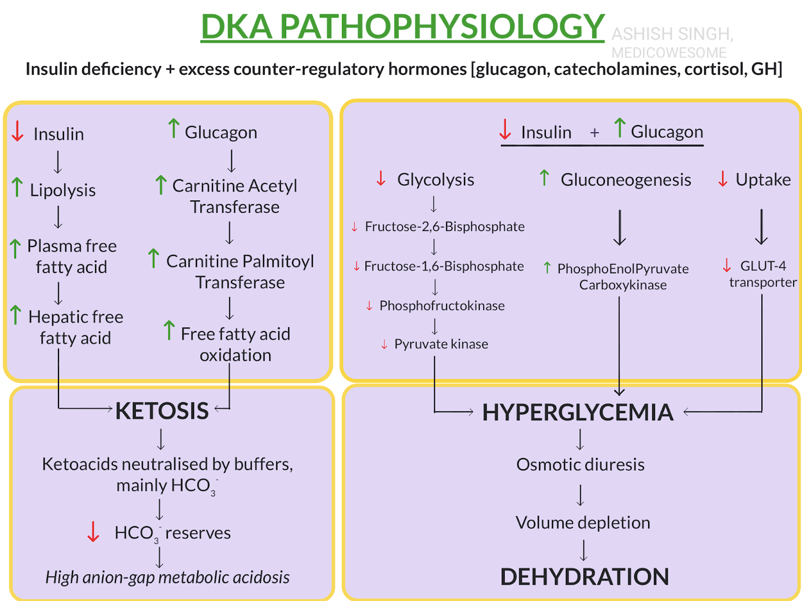 Acidosis y cetosis