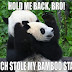 gambar panda dan tentang panda