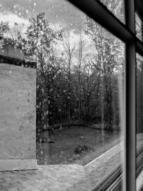 A black and white image of the forest during a rain storm