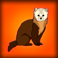 Cute Marten Escape