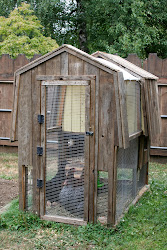 coop chicken materials reuser hens those happy reusing