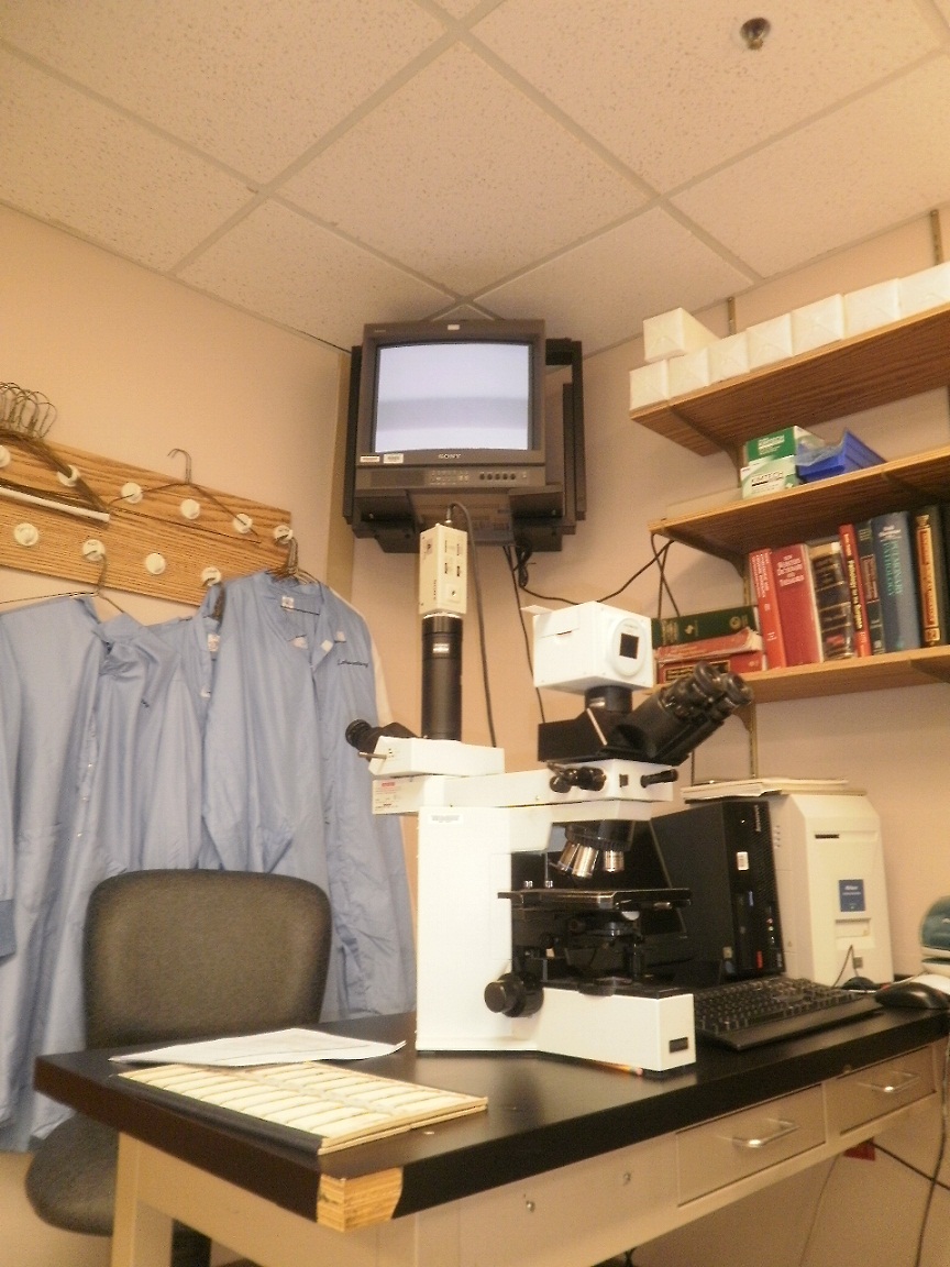 The Making of a Pathologists' Assistant A Trip to the Pathology
