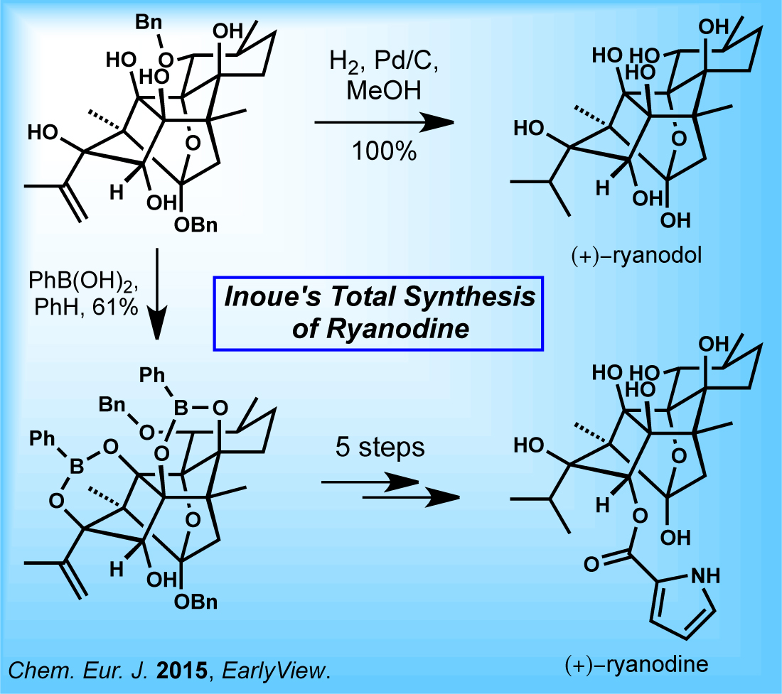 Схема синтеза химия. Chem synthesis. Рианодин. Прегабалин структурная формула. Кортизон и кортизол.