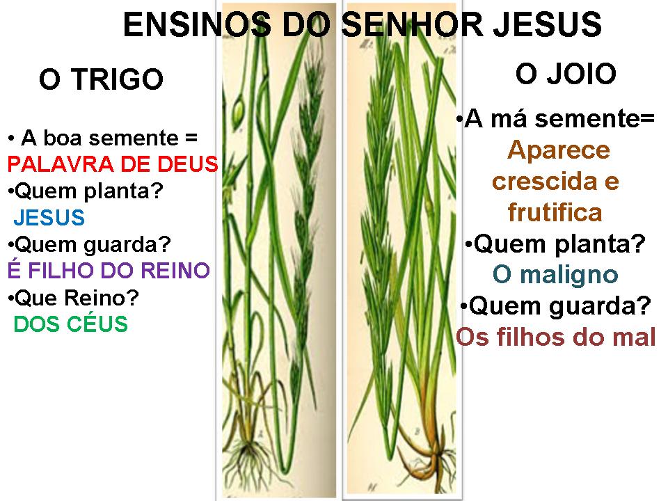 Renata Princess ੴ •٠·˙ 2ª Aula