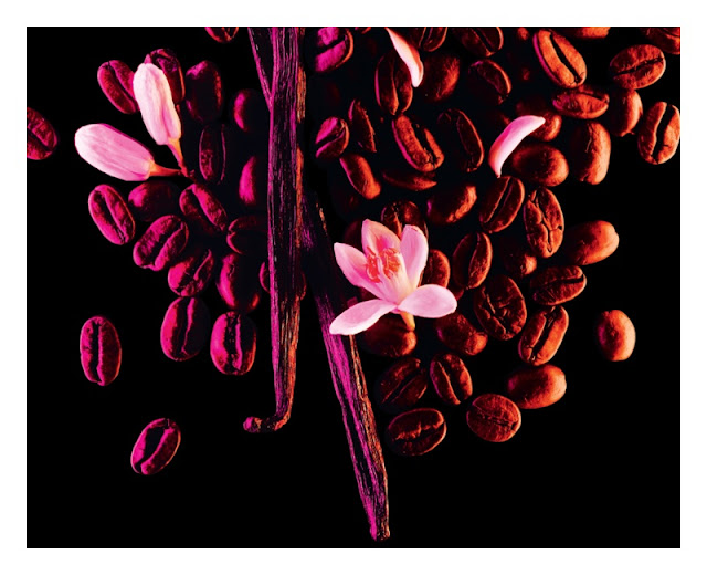 Black Opium di Yves Saint Laurent