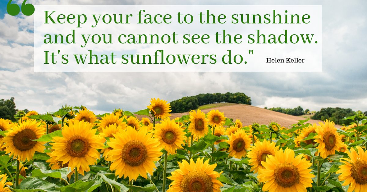 Ang Bulaklak na Mirasol