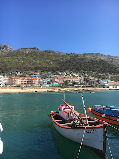 Ausflüge in und um Stellenbosch - Fish Hoek