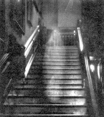 Brown lady of raynham hall