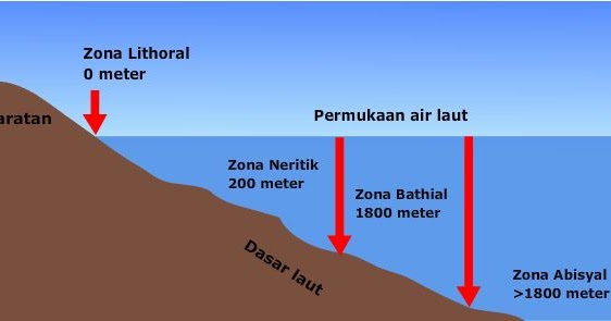 Klasifikasi Laut Berdasarkan Kedalamannya Terlengkap