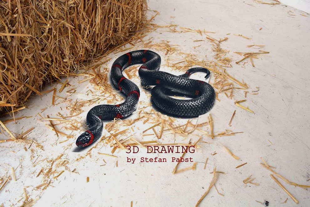 09-Snake-Stefan-Pabst-NO-Photoshop-3D-Anamorphic-Drawings-with-Video-www-designstack-co