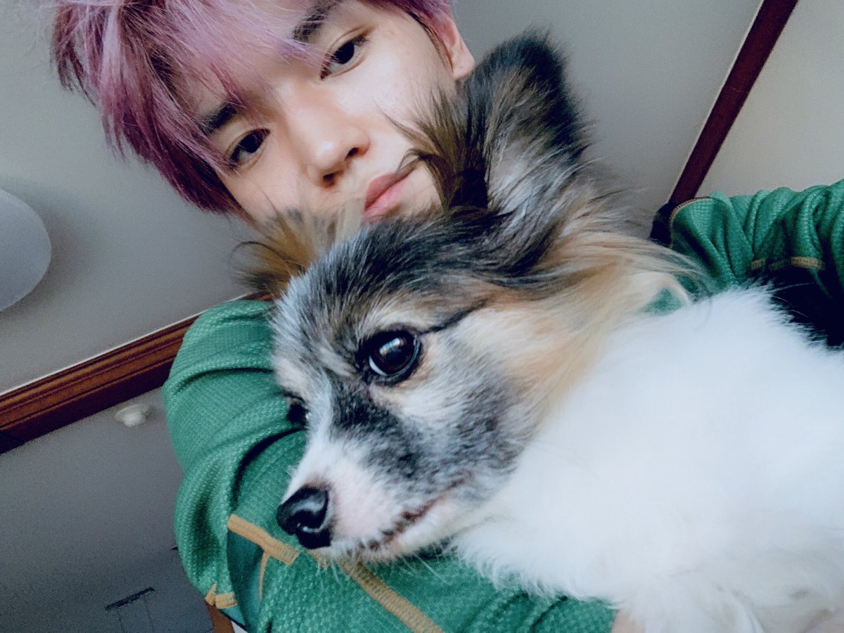 5 Songs Written by K-pop Idols About their Dogs