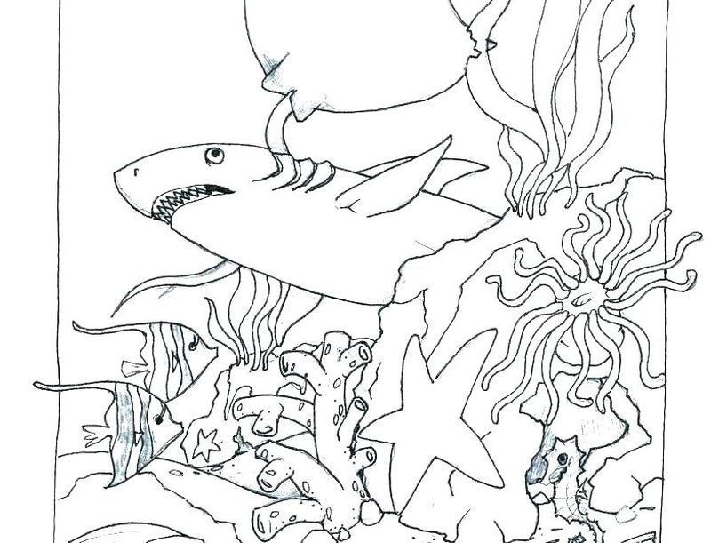 Free Printable Ocean Coloring Pages - Fun, Free and Easy