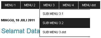 Cara Membuat Menu Navigasi Horizontal dengan Sub Menu Vertikal