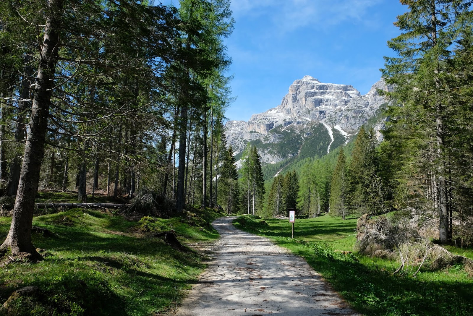 Escursione al rifugio Sommariva al Pramperet e malga Pramper da Forno