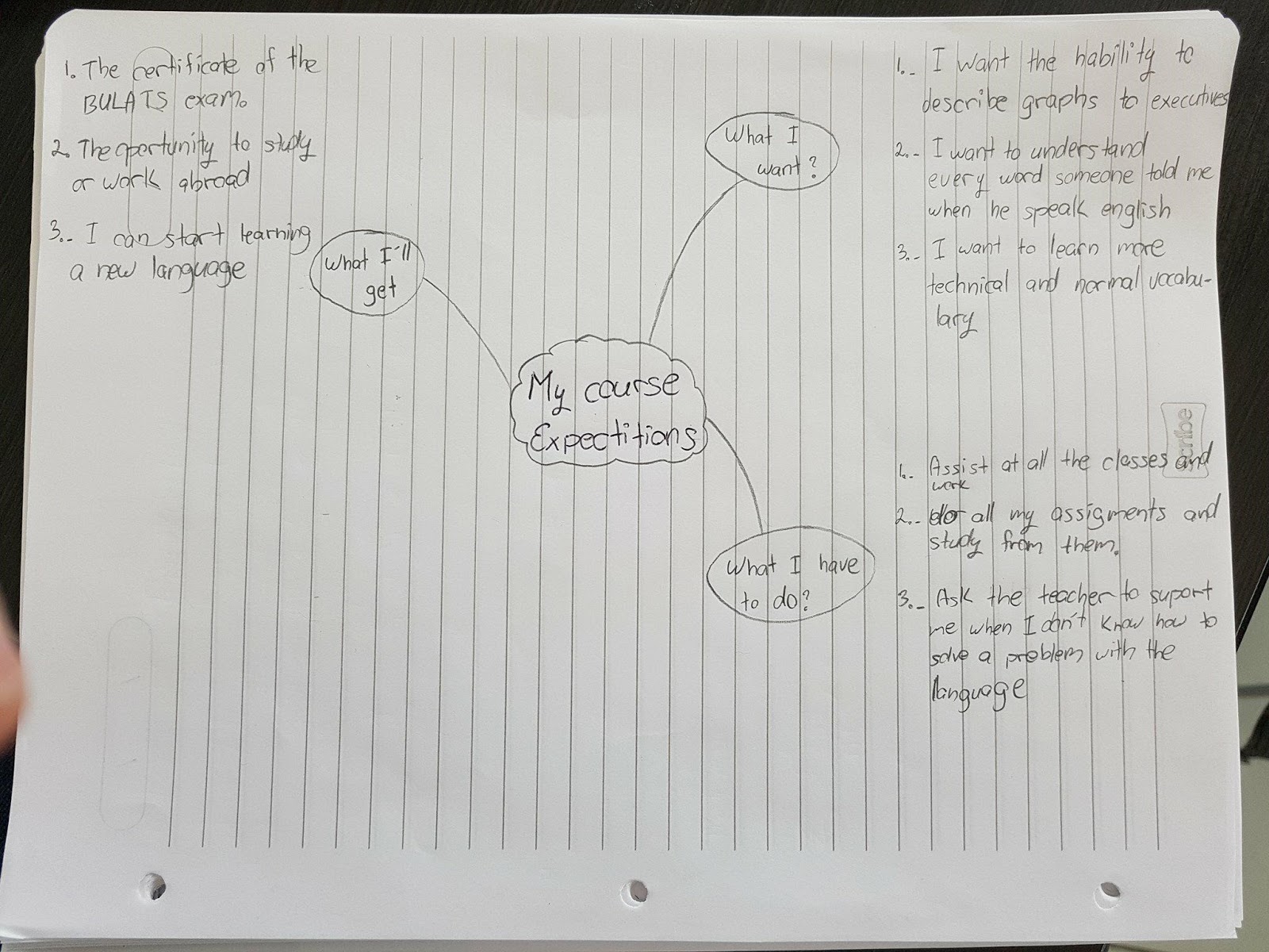 course-expectations-mind-map