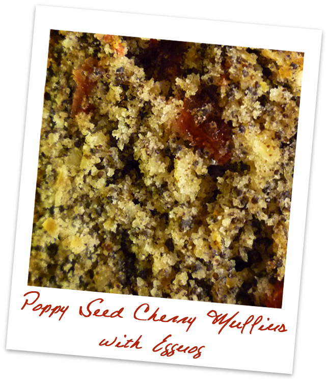 Catalina Bakes The Daring Bakers' Challenge Poppy Seed Cherry Muffins with Eggnog